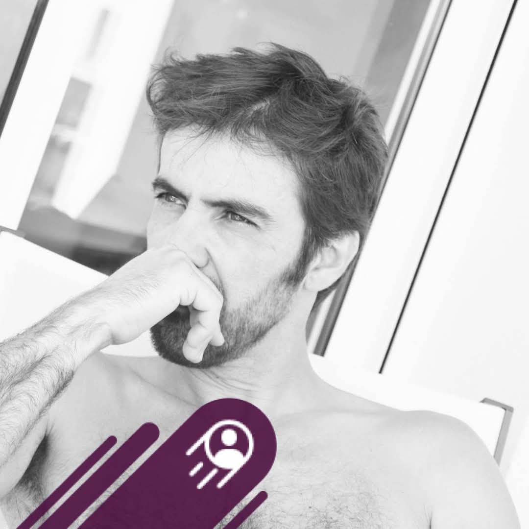 Profil de Anselme