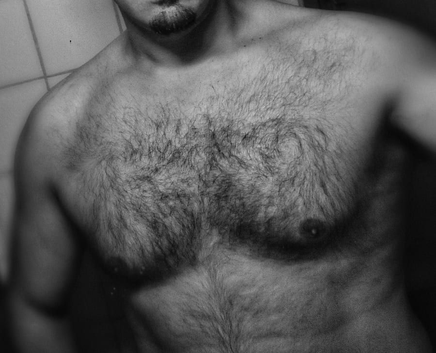 Profil de Yotam